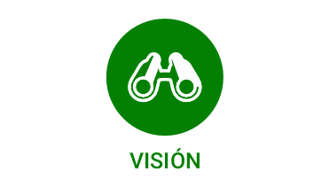 Visión